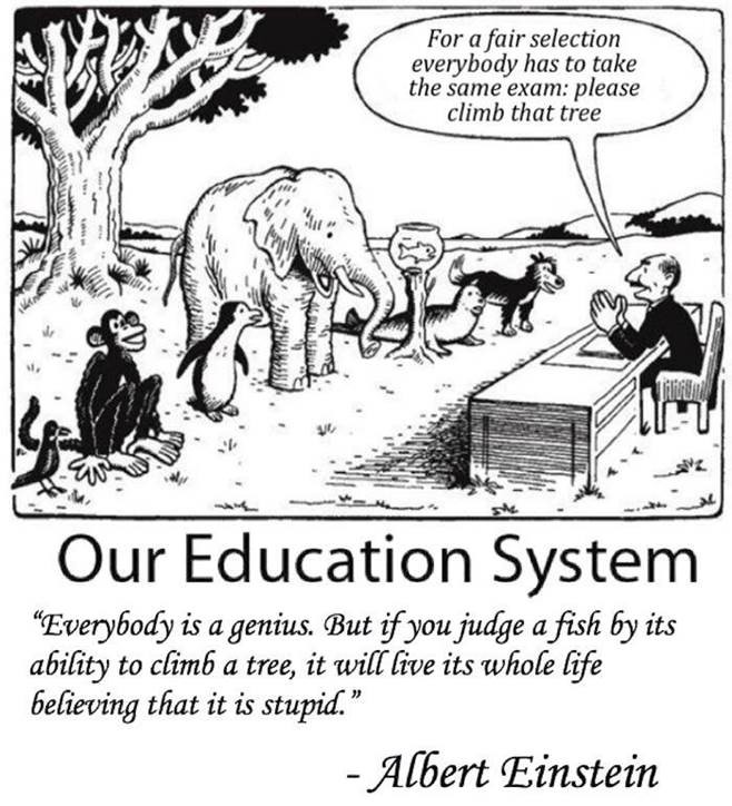 accessibility cartoon
