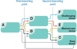 assessment branching points for NAPLAN
